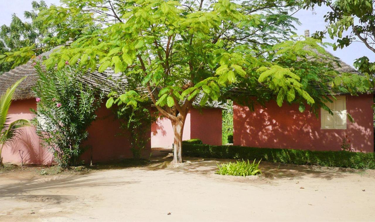 Lampsar Lodge Ndiongo Bilik gambar